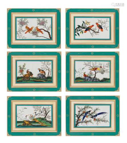 CHINESE EXPORT SCHOOL (19TH CENTURY) Studies of Exotic Birds...