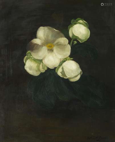 【*】James Stuart Park (British, 1862-1933) White roses in blo...
