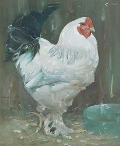 Joseph Crawhall RSW (British, 1861-1913) White cock