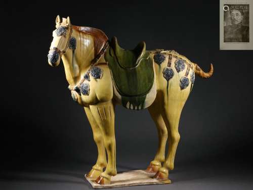 A Sancai Pottery Standing Horse
