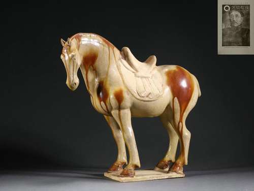 A sancai glaze pottery horse