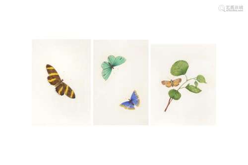 THREE CHINESE EXPORT PAINTINGS OF BUTTERFLIES 清十九世紀 外銷...
