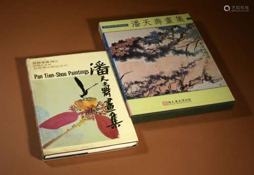 1980年 潘天寿画集 2册
