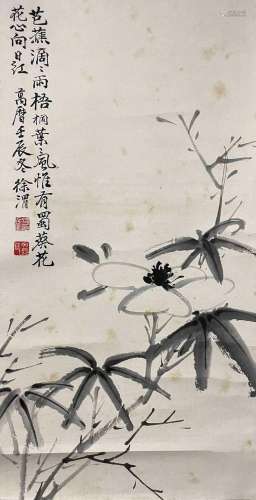 Xu Weiflower illustration