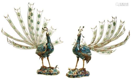 PAIR OF CHINESE CLOISONNE PEACOCK CENSERS, QING DYNASTY, 19T...