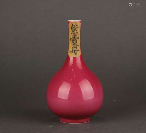 Chinese Carmine Glazed Porcelain Bottle, 18th