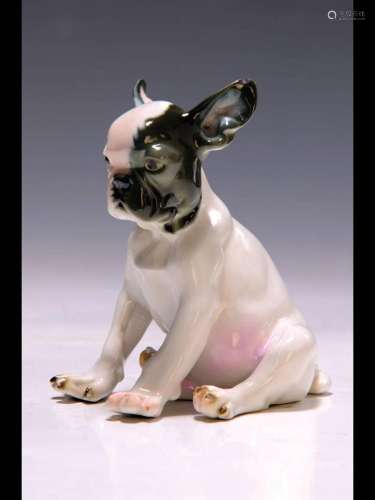 Porcelain figurine \'Young Bulldog\', Nymphenburg