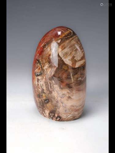 Very large petrified wood sculpture, Madagascar