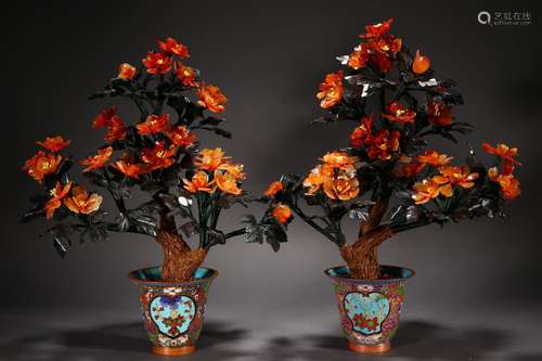 A pair of cloisonne bonsai