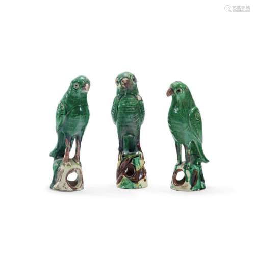 Three parrots China, Qing dynasty