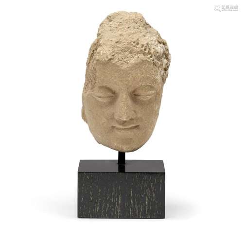 Buddha's head Gandhara, 3rd Century