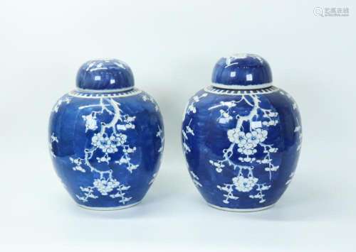 Pair Chinese Blue & White Porcelain Ginger Jars