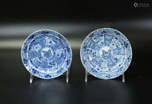 2 Chinese Qing Blue & White Porcelain Plates