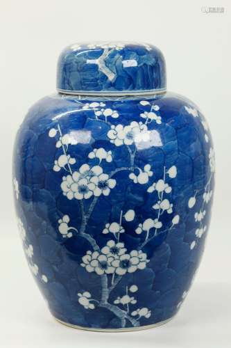 Chinese Qing Blue & White Porcelain Ginger Jar