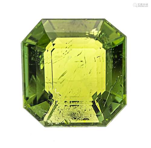 Tourmaline 37.08 ct octagonal