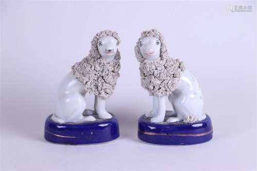 A pair of porcelain shaved poodles, on poudre blue and gold ...