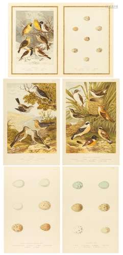 A set of six lithographs by A. F. Lydon, 9 x 6 in. (22.9 x 1...