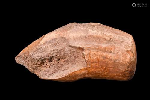 EUROPEAN MESOLITHIC HORN AXE