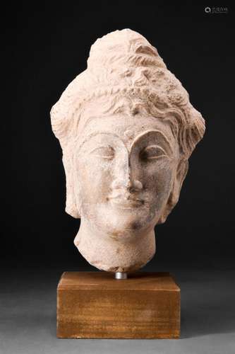 GANDHARAN SCHIST HEAD OF BODHISATTVA