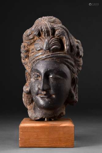 GANDHARAN DARK SCHIST HEAD OF BODHISATTVA