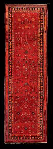 Tapis Hamadan (chaîne et trame en coton, velours en lai