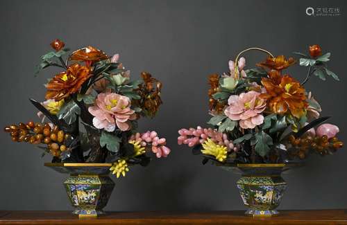 A Pair of Jingtailan Treasure Bonsai