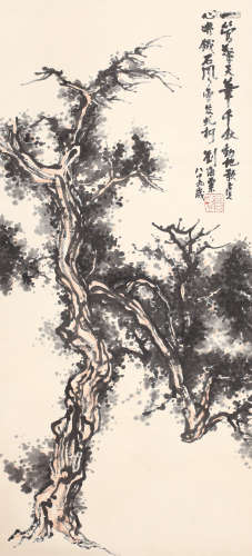 刘海栗 松树