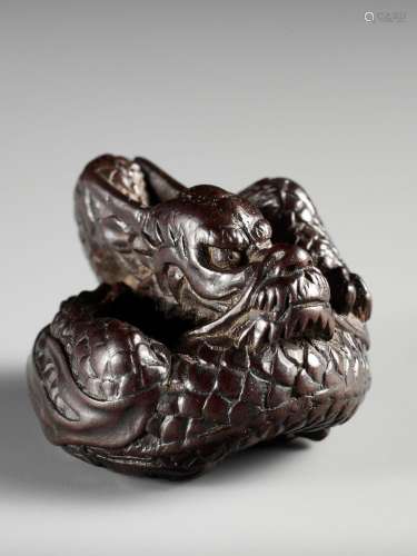 A SUPERB WOOD NETSUKE OF A COILED DRAGON, ATTRIBUTED TO TAME...