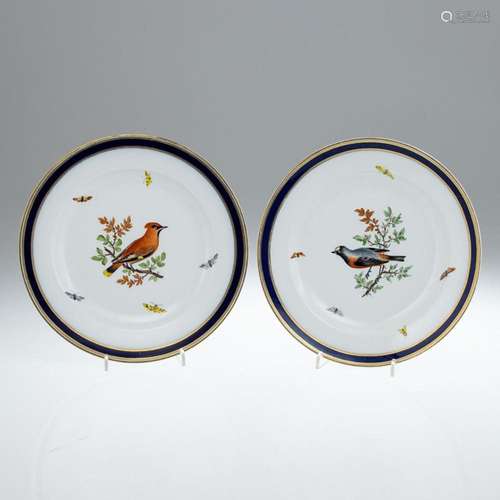 2 Speiseteller Vögel auf Ast mit Insekten. Meissen um 1850.