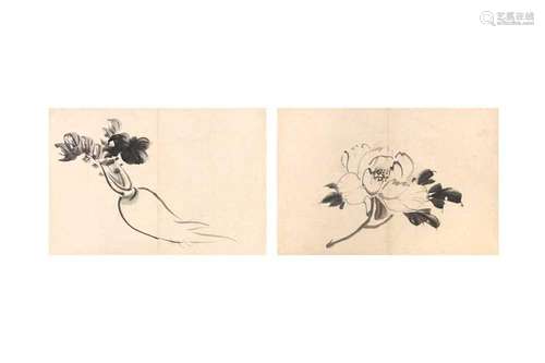 UNKNOWN ARTIST Camelia; Daikon