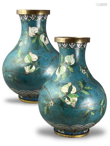 A Pair of Cloisonne Bottle Vases, early 19th century