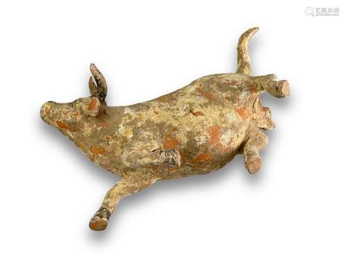 A rare Pottery figure of a Bull rolling, Tang dynasty