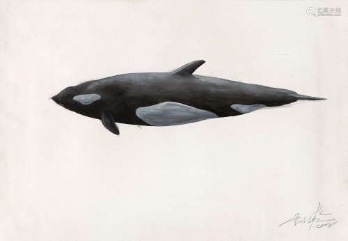 叶凌瀚 2008年 鲸鱼
