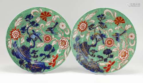 An unusual pair of enamelled plates