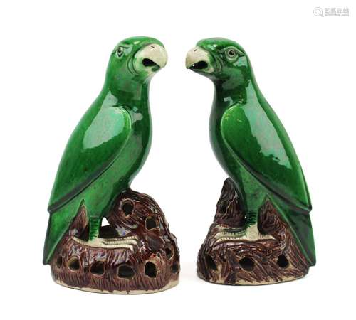 A pair of sancai biscuit-ware parrots on rocky bases