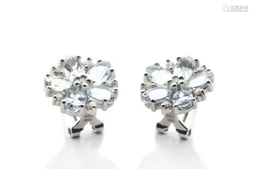 18k white gold and diamonds Earrings