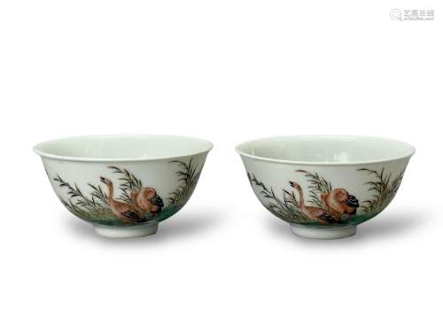A pair of famille-rose poem and wild ducks bowl, marked Xian...