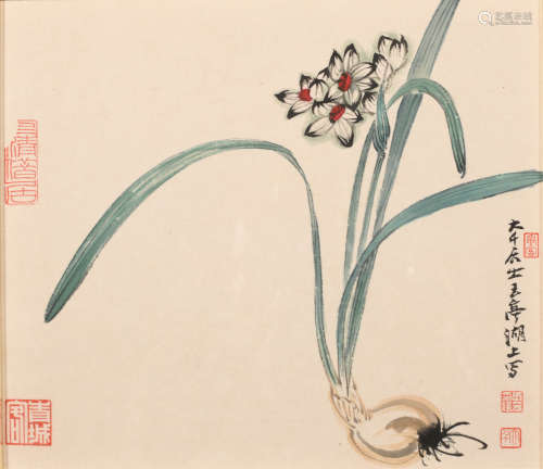 张大千(款) (1899-1983) 水仙图