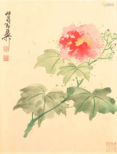 谢稚柳 (1910-1997) 芙蓉花