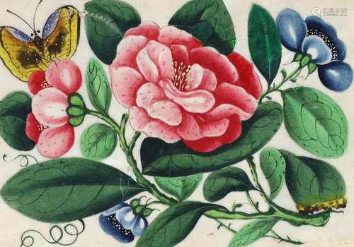 A Chinese album of twelve pith paintings of flowers and inse...