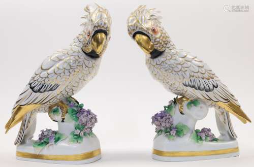 A pair of Continental porcelain figures of cockatoos, 19th c...