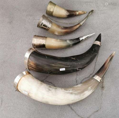 5 DRINKING HORNS