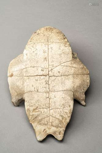 AN INSCRIBED SHANG DYNASTY ‘ORACLE BONE’ TURTLE PLASTRON, JI...