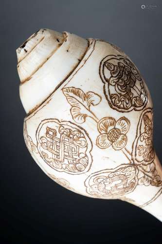 A CONCH SHELL CARVED WITH AUSPICIOUS SYMBOLS, SHANKA