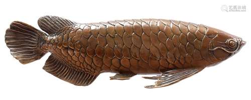 Bronze Arowana fish