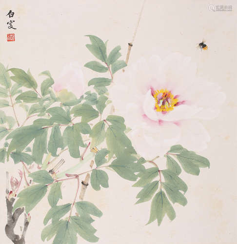 邓白  花卉