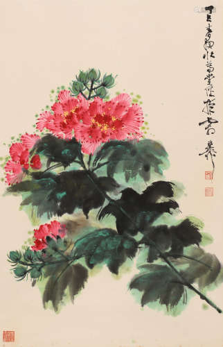 谢稚柳 （1910-1997） 芙蓉花