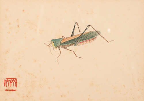 齐白石(款) （1864-1957） 工笔草虫