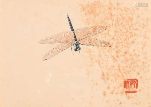 齐白石(款) （1864-1957） 工笔蜻蜓