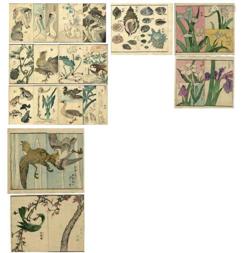 Japanische Holzschnitte,  11 Doppelbuchseiten (ca. 16 x 19,5...